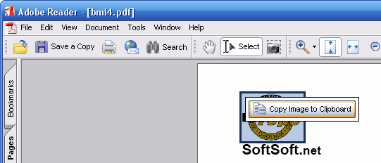 Adobe Reader PDF Example